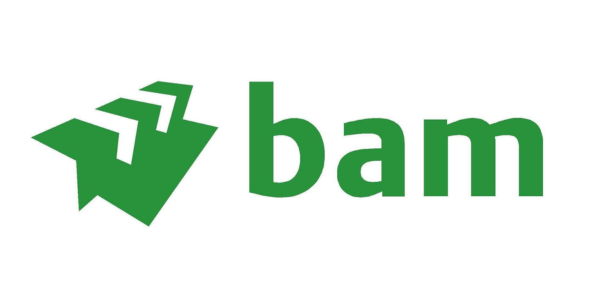 BAM logo