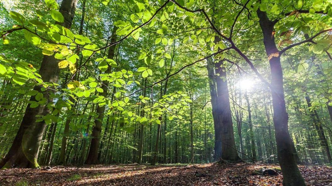 How UK Construction Is Getting Greener in 2025