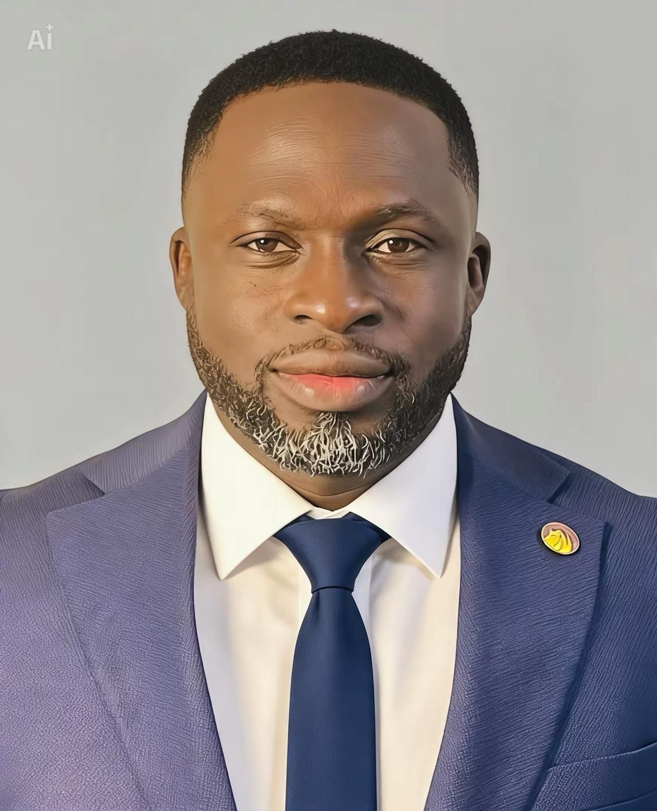 Speaker profile image for Olayinka Omoboye