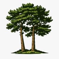 Company logo image for Steven Boyd MBE