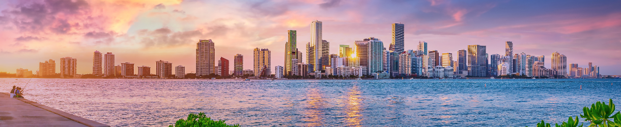 miami skyline long