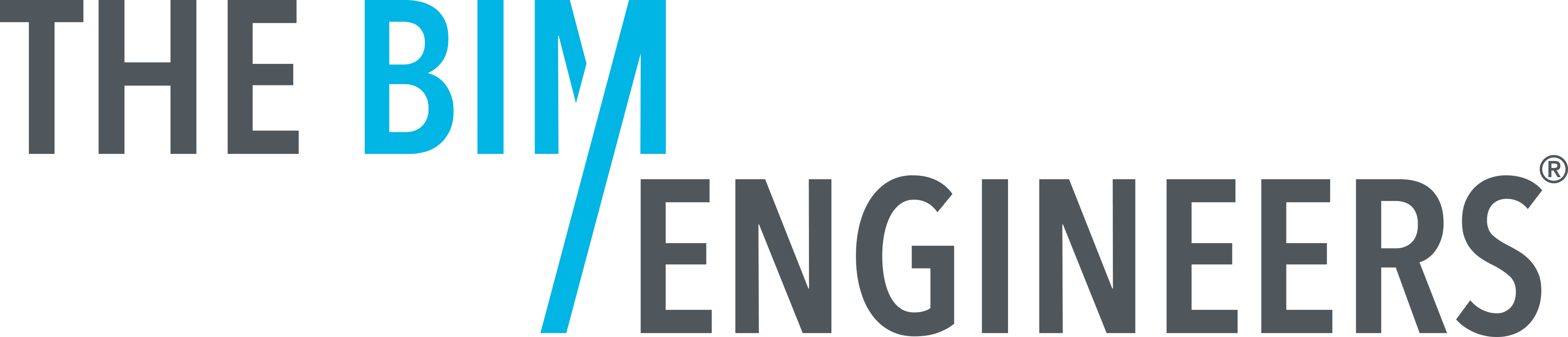 The BIM Engineers