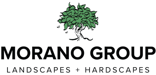 Morano group