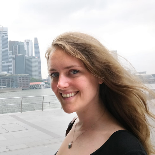 Gioia Montana Connell - WSP