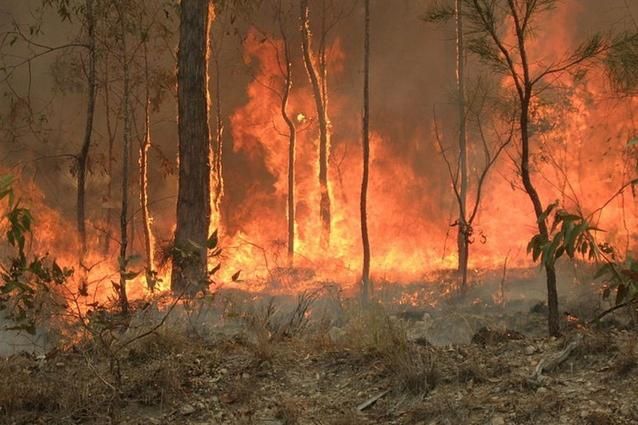 'It's Not About Architects Having Solutions': Former Country Fire Authority Member on Architecture After The Fires