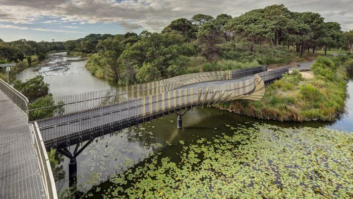 Sam Crawford Architects Has Created a Curving Bridge in Sydney, Mimicking the Shape of Eels