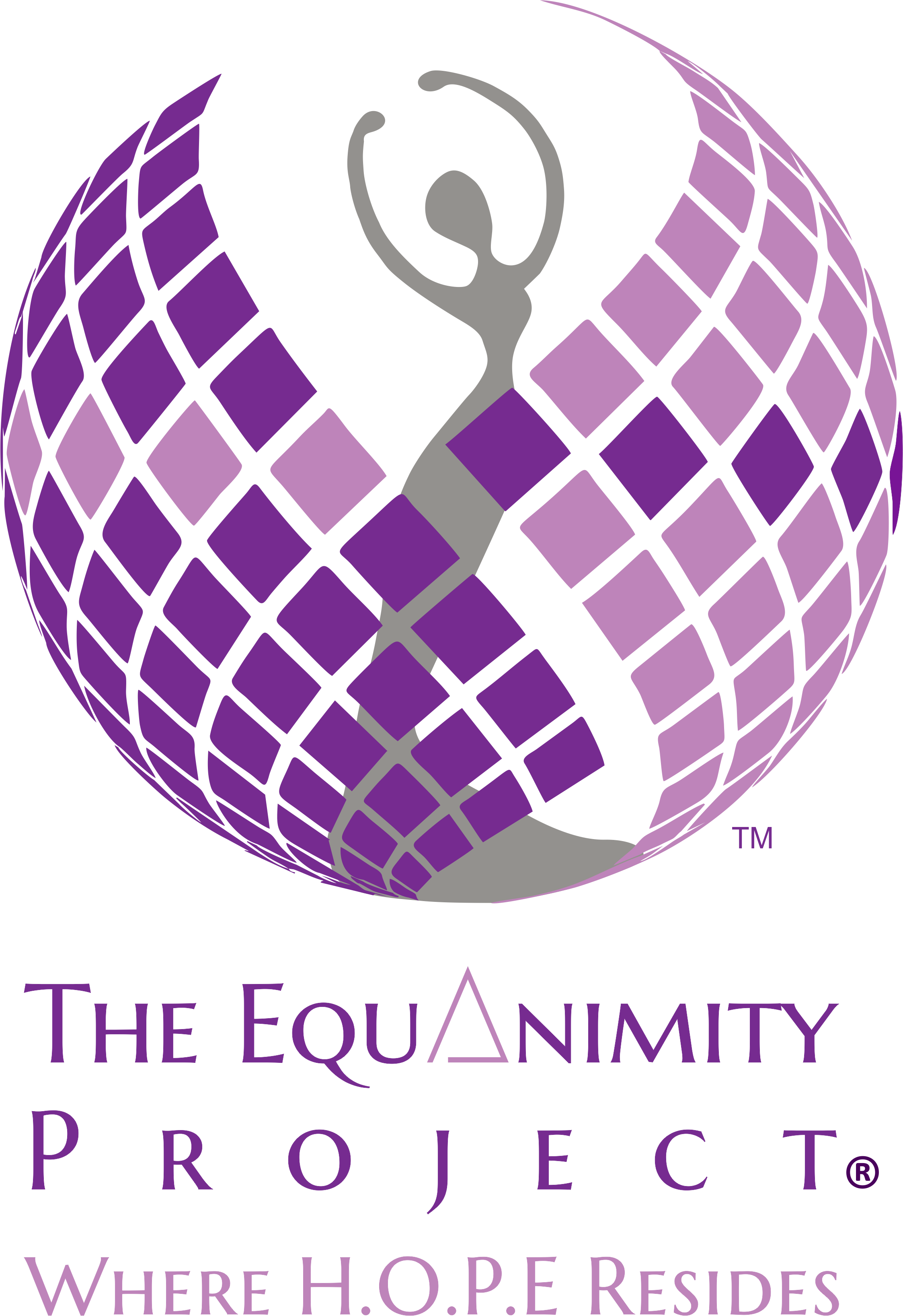 The Equanimity Project (Australia) Limited 