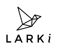 LARKI - 3D SURVEYS