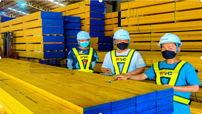 ROC International – Your Trusted Supplier of Wood Timber Building Materials