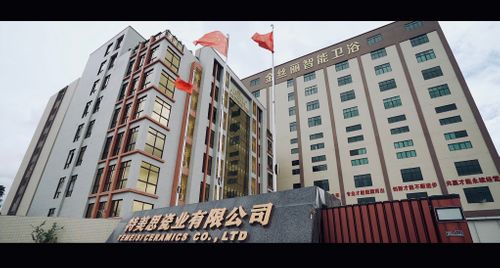 Company Official Introduction Video