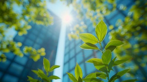 National Circular Economy Framework targets construction