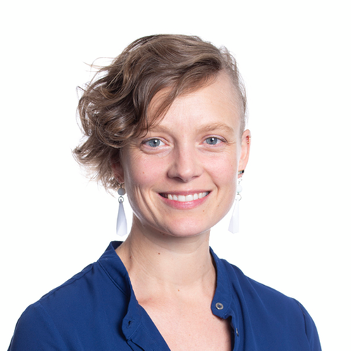 Roz Palmer - WSP