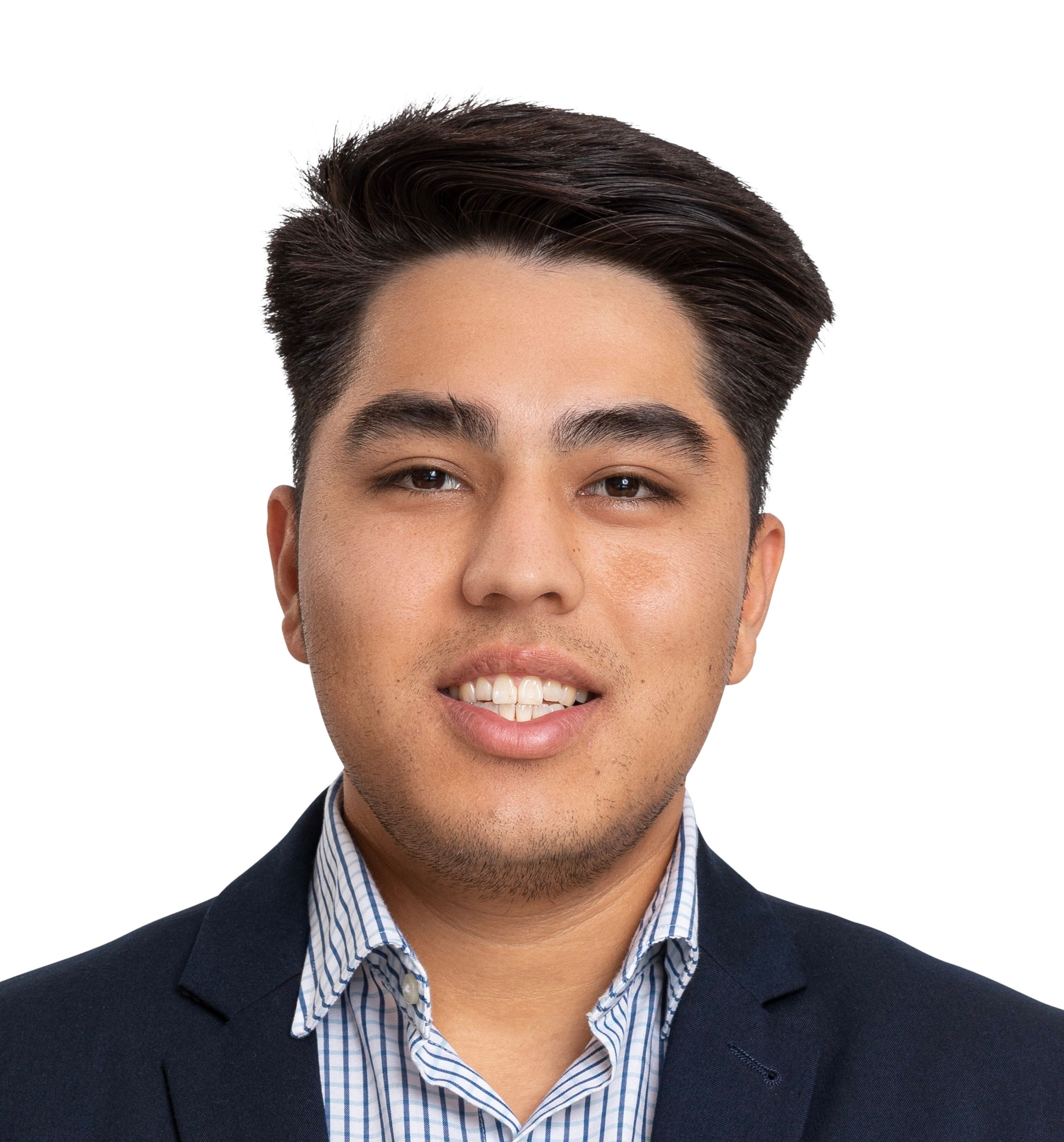 Ziashan Mahmodi - Landmark Construct