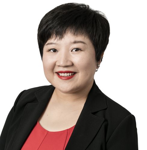 Li Liu - SMEC