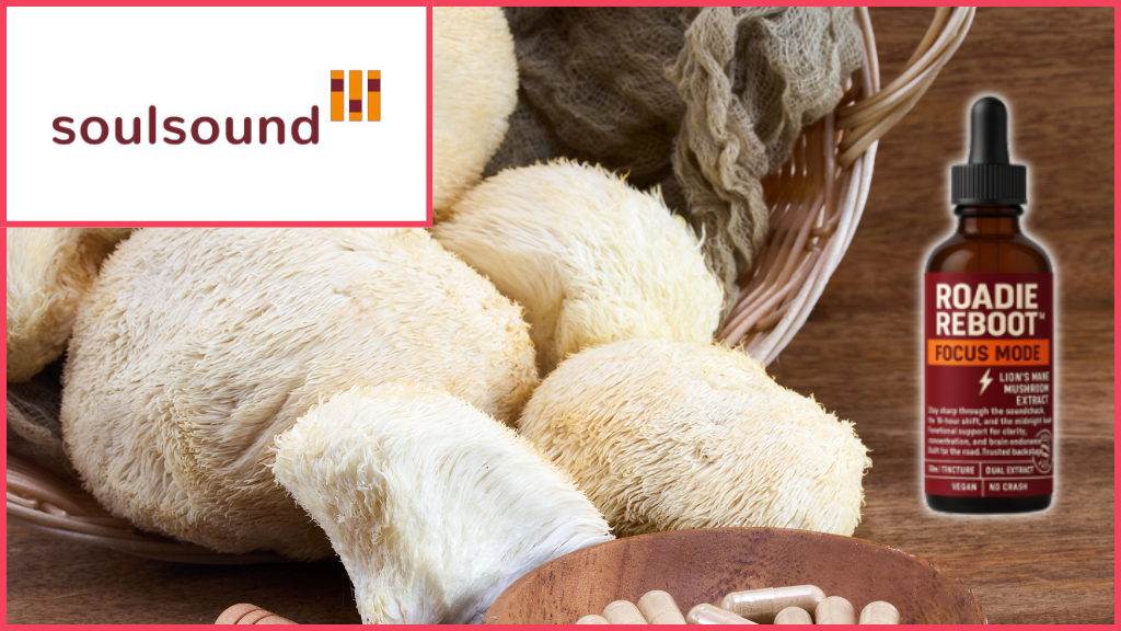 Roadie Reboot: How Medicinal Mushrooms Can Benefit The Touring Industry