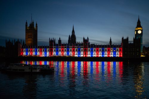 Parliament in colours: Cameo lights up Palace of Westminster