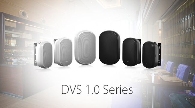 DVS 1.0 Series