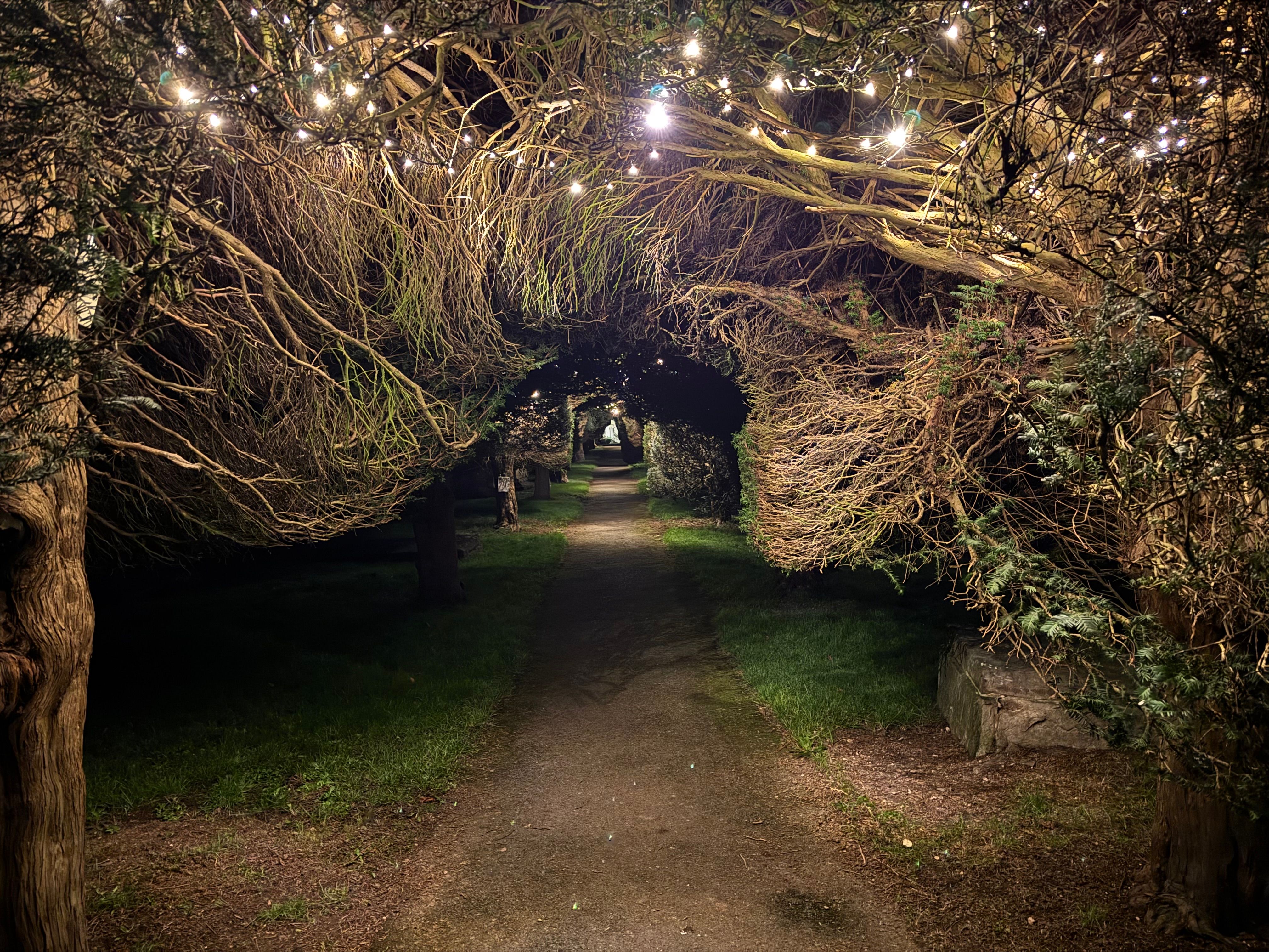Festoon & Fairy Lights