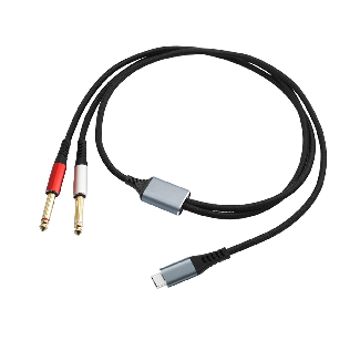 USB Type-C to Dual 1/4