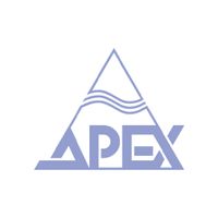 Company name - Apex