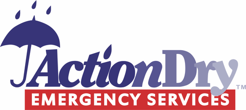 Action Dry Emergency Services