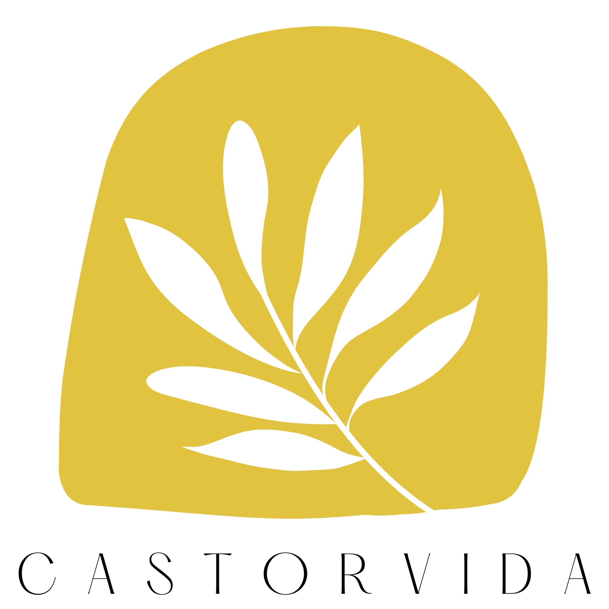 Castorvida