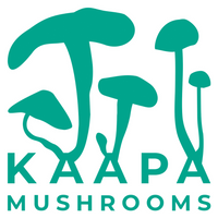 Company name - KÄÄPÄ Mushrooms 