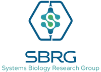 Company name - SBRG
