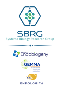 Company name - SBRG