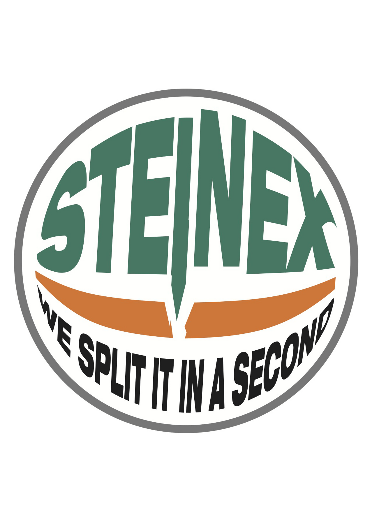 Steinex Srl