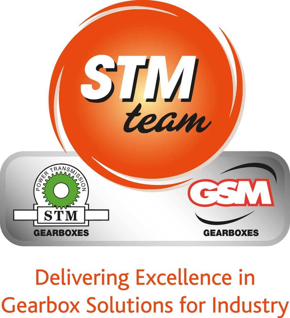 STM Power Transmission Ltd