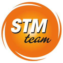 STM Power Transmission Ltd