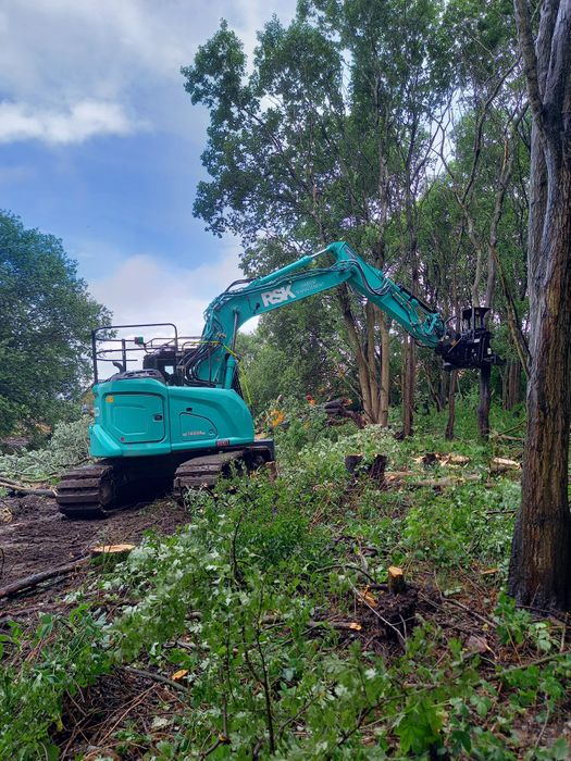 Habitat Creation, Restoration and Management