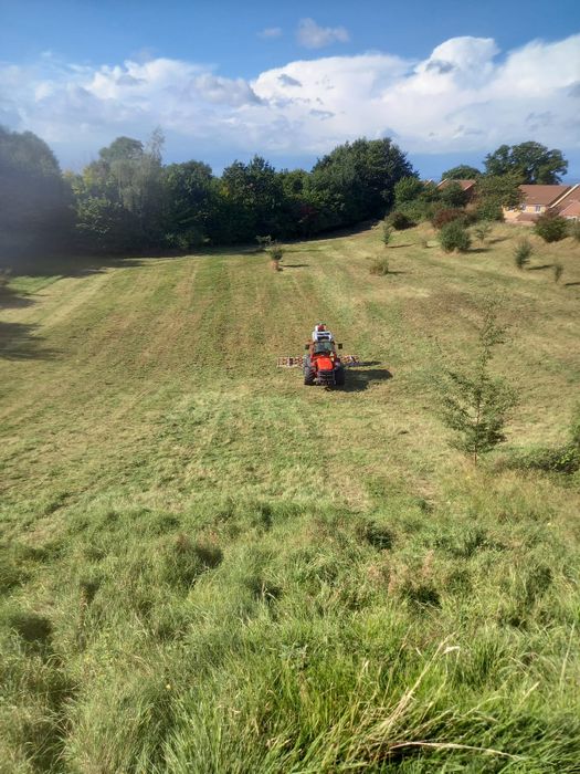 Vegetation Management