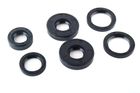 Oil Seals