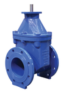 Gate Valves