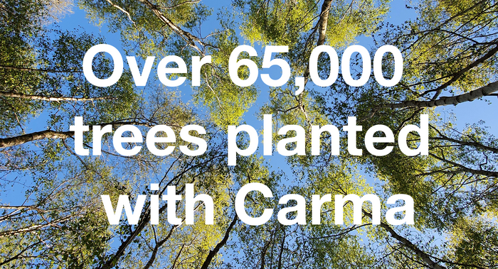 Pioneering Carbon Balancing Initiative