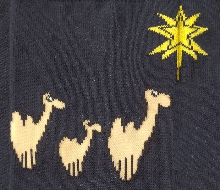 The Journeying Sock - Camel and Star