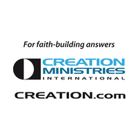 Company name - CREATION MINISTRIES INT