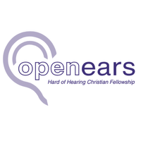 Company name - Open Ears