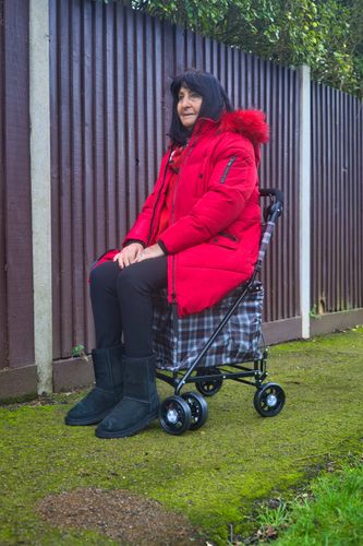 The Walk, Rest and Shop Walking Trolley