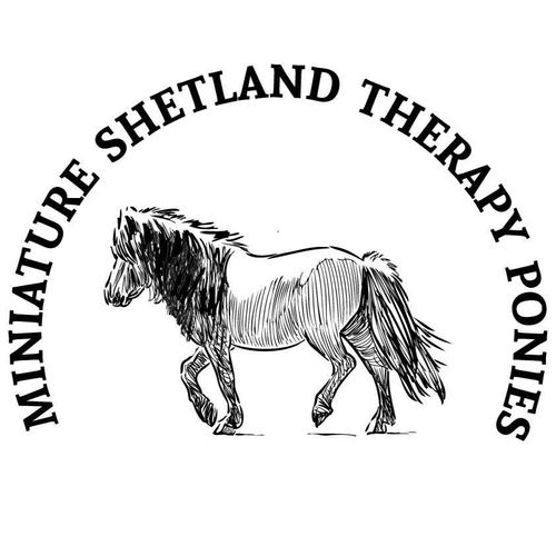 Shetland Therapy