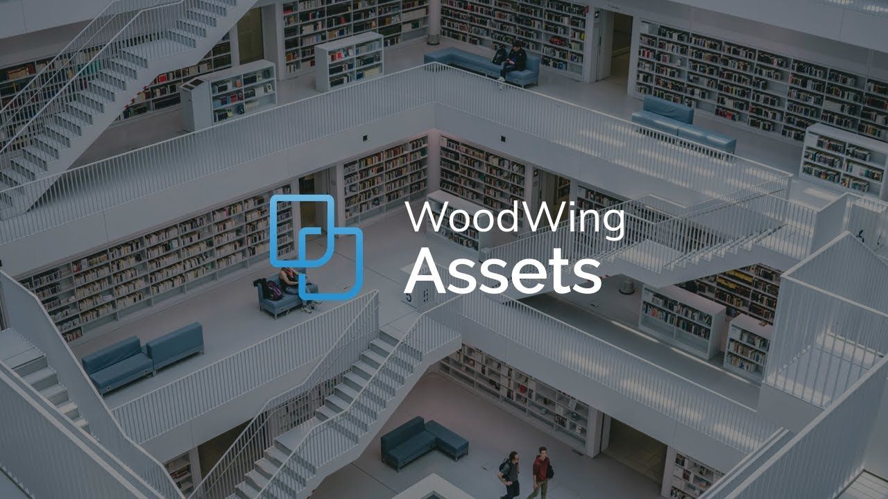 WoodWing Assets - Product demo of our DAM solution