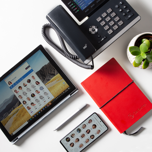 CallSwitch Business Licence - Product Sheet