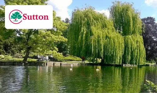 Customer Story | How Sutton Council delivers on their promise of effortless CX
