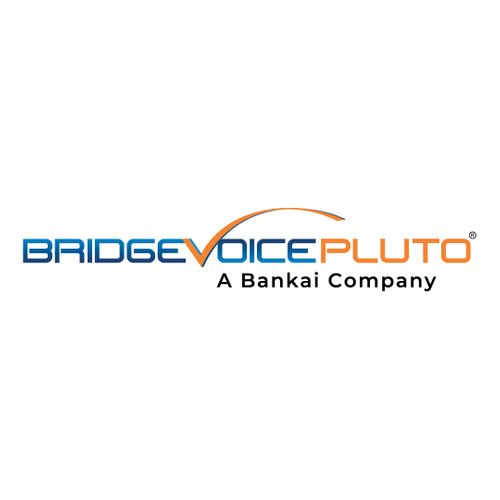 BridgeVoice Inc