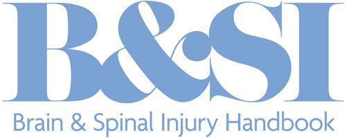 The Brain & Spinal Injury Handbook