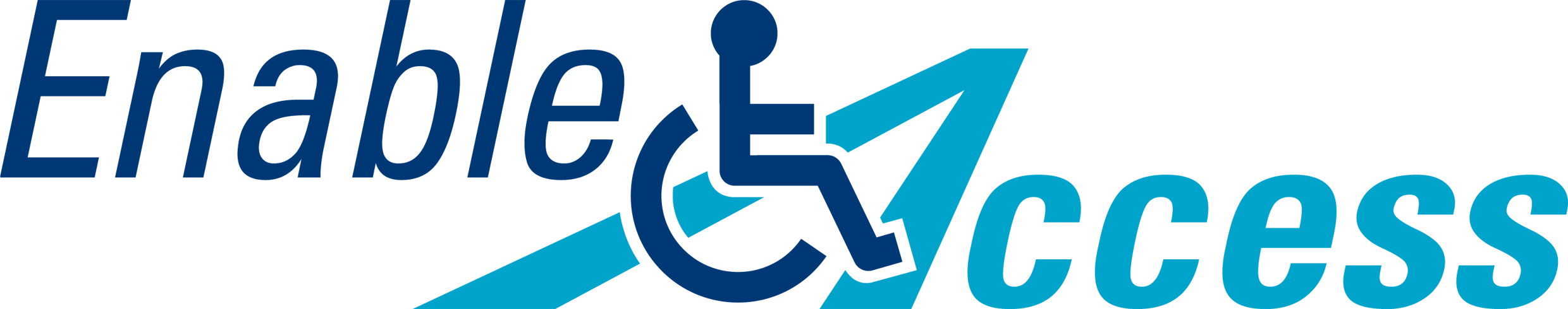 Enable Access Logo