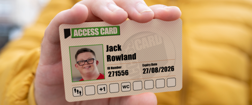 Theme Park Ambassador