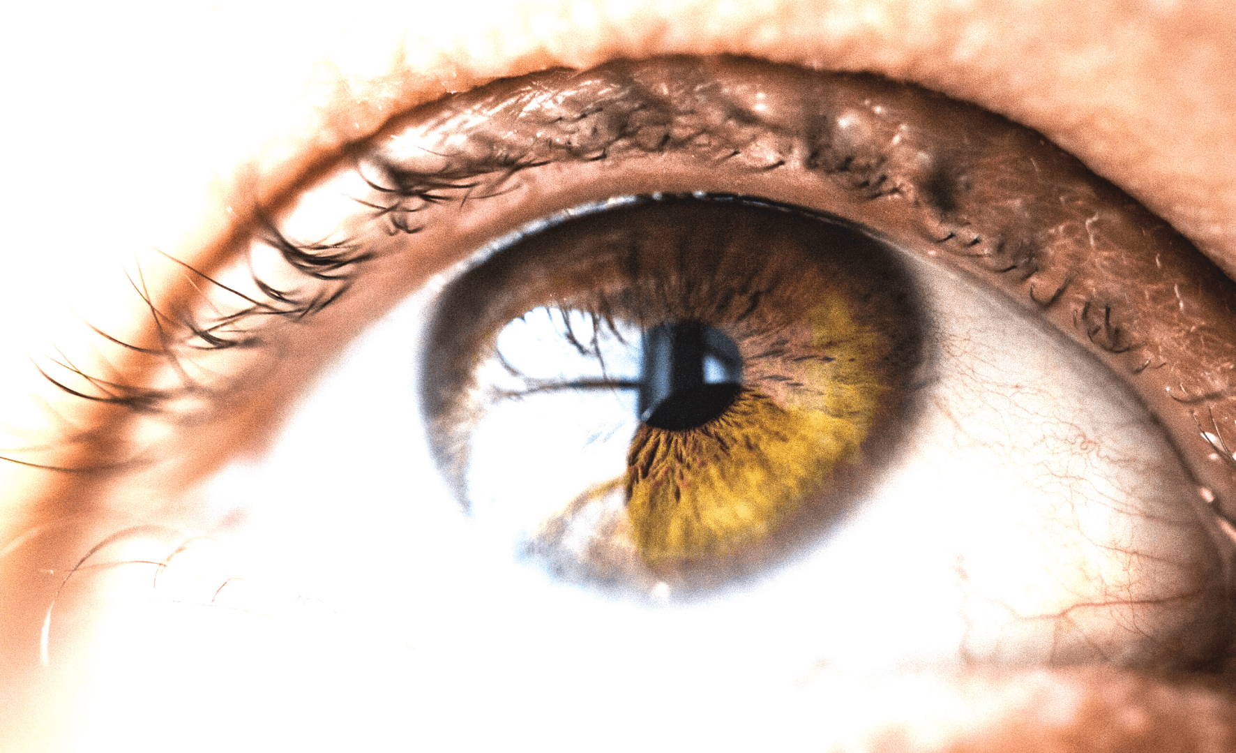 Picture of an hazel coloured eye.